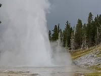 fullsizeoutput_6661