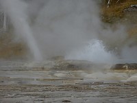 fullsizeoutput_6665