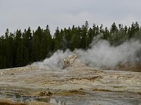 fullsizeoutput_6667