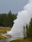 fullsizeoutput_666c