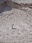 fullsizeoutput_668e