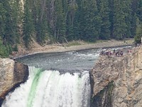 fullsizeoutput_6719