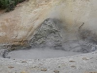 fullsizeoutput_6731