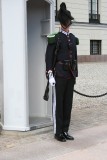 Wachtmeester koninklijk paleis