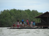 IMG_0520
