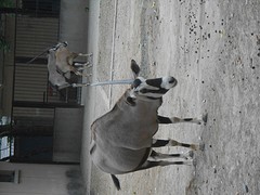 DSCN3321[1]
