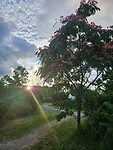 zonsondergang op de camping Angoulême
