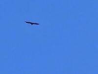 IMG-20240707-WA0004