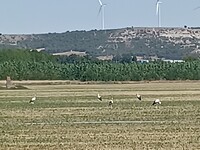 20240804_154048