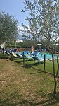 IMG-20260729-WA0005