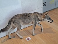 20260728_113302
