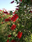 Ook de flora is zo mooi