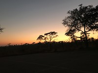 Zonsopkomst in het Krugerpark