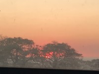 Krugerpark