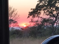 Krugerpark