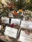 Inheemse Bloemen met naambordje achter glas