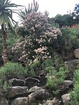 In de tuin