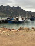 Houtbaai