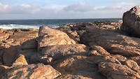 de lange strandwandeling