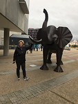 Loopt Carla zomaar tegen een olifant op