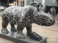 En een nieuw soort neushoorn