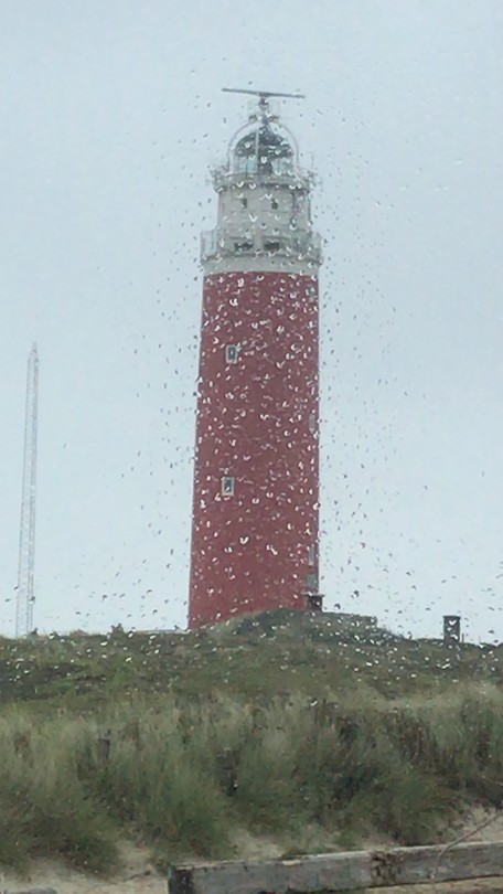 Regen?