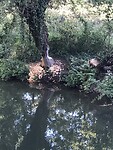 Aan de wandel