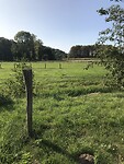 Genieten