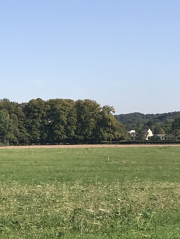 Uitzicht
