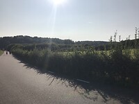 Zo mooi weer en heerlijk wandelen