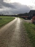 Op het park