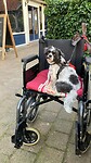 Valmar mag mee even wat drinken op het terras