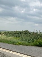 Cadzand