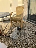 Valmar wacht geduldig op het balkon tot de dames klaar zijn