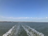 We varen