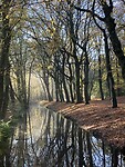 Mooi