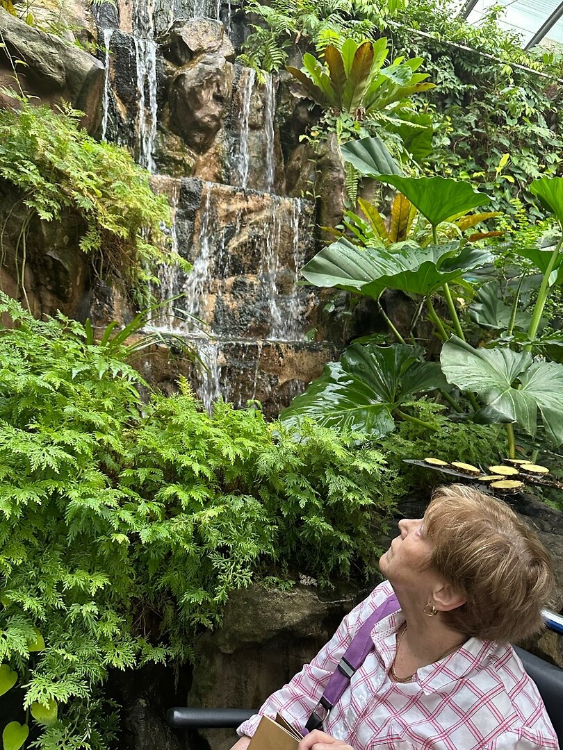 Joke kijkt op naar de waterval