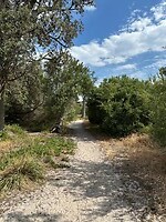 Heerlijk lopen langs de Chanaook kreek