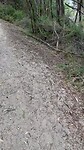 Wandelen