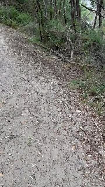 Wandelen