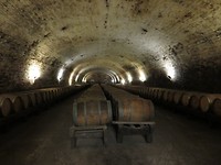 IMG_1123