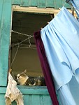 IMG_1147