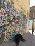 IMG_1152