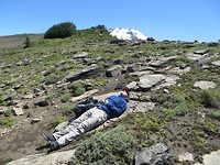 IMG_1159