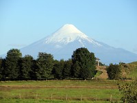 IMG_1187