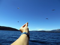 IMG_1192