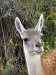 IMG_1233