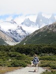 IMG_1239