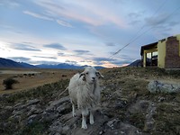 IMG_1291