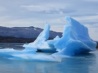 IMG_1319